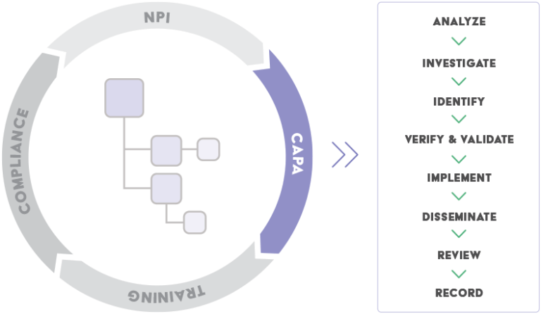 CAPA Systems: 5 Essential Elements | CAPA Software | Arena